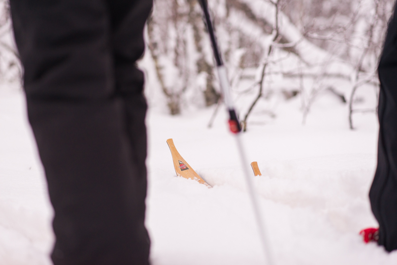Tegsnäs ski